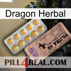 Dragon Herbal 41